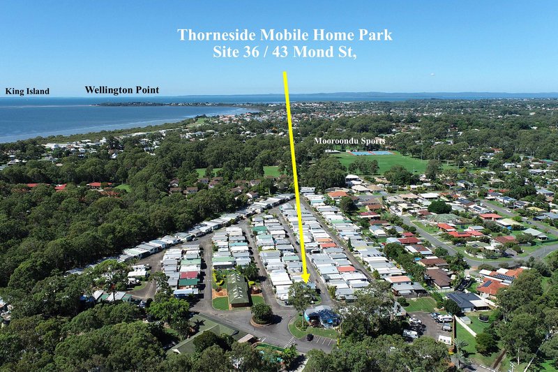 Photo - 36/43 Mond Street, Thorneside QLD 4158 - Image 2