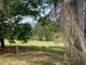 Photo - 365 Villeneuve Road, Royston QLD 4515 - Image 19