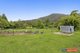 Photo - 366 Dairyville Road, Upper Orara NSW 2450 - Image 17