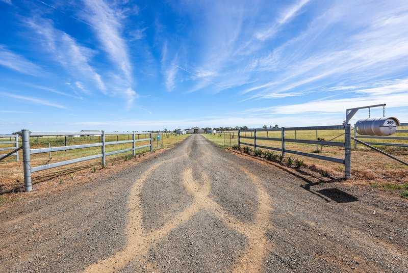 Photo - 366 Kelsos Lane, Tamworth NSW 2340 - Image 9