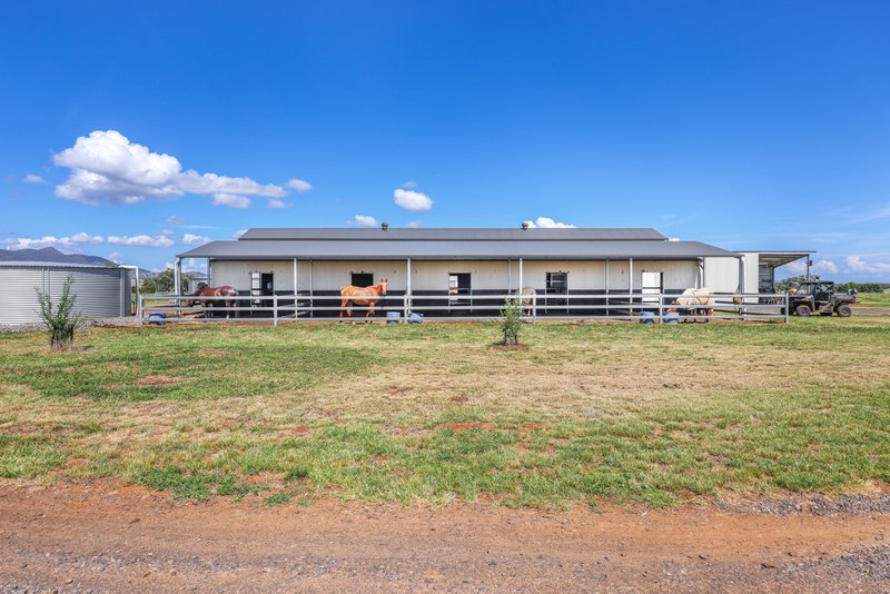 Photo - 366 Kelsos Lane, Tamworth NSW 2340 - Image 12