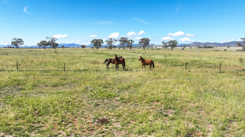 Photo - 366 Kelsos Lane, Tamworth NSW 2340 - Image 21