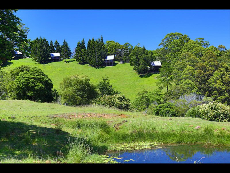 Photo - 366 Reesville Road, Reesville QLD 4552 - Image 9