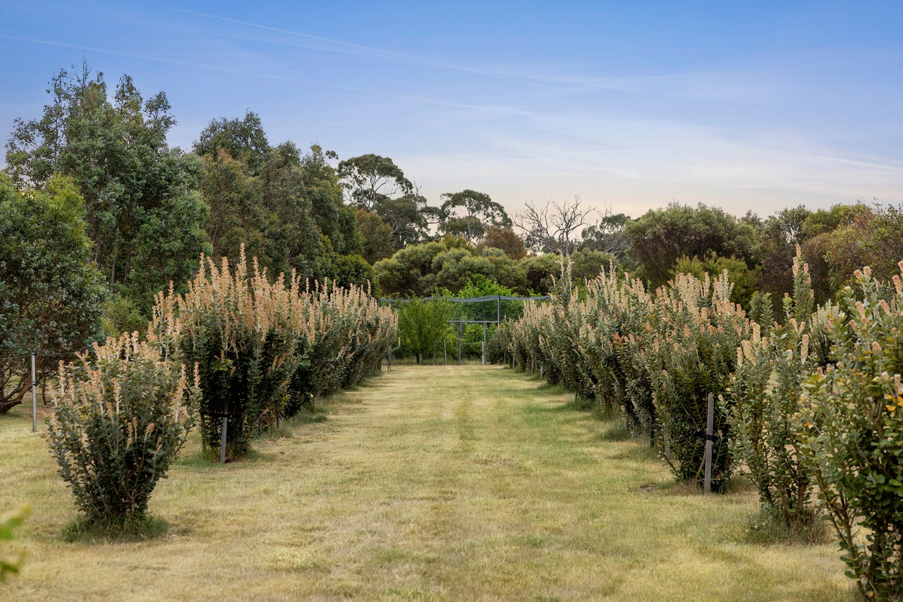 3-bedroom house at 366 Savage Hill Road, Dereel, VIC 3352, Golden Plains, Victoria
