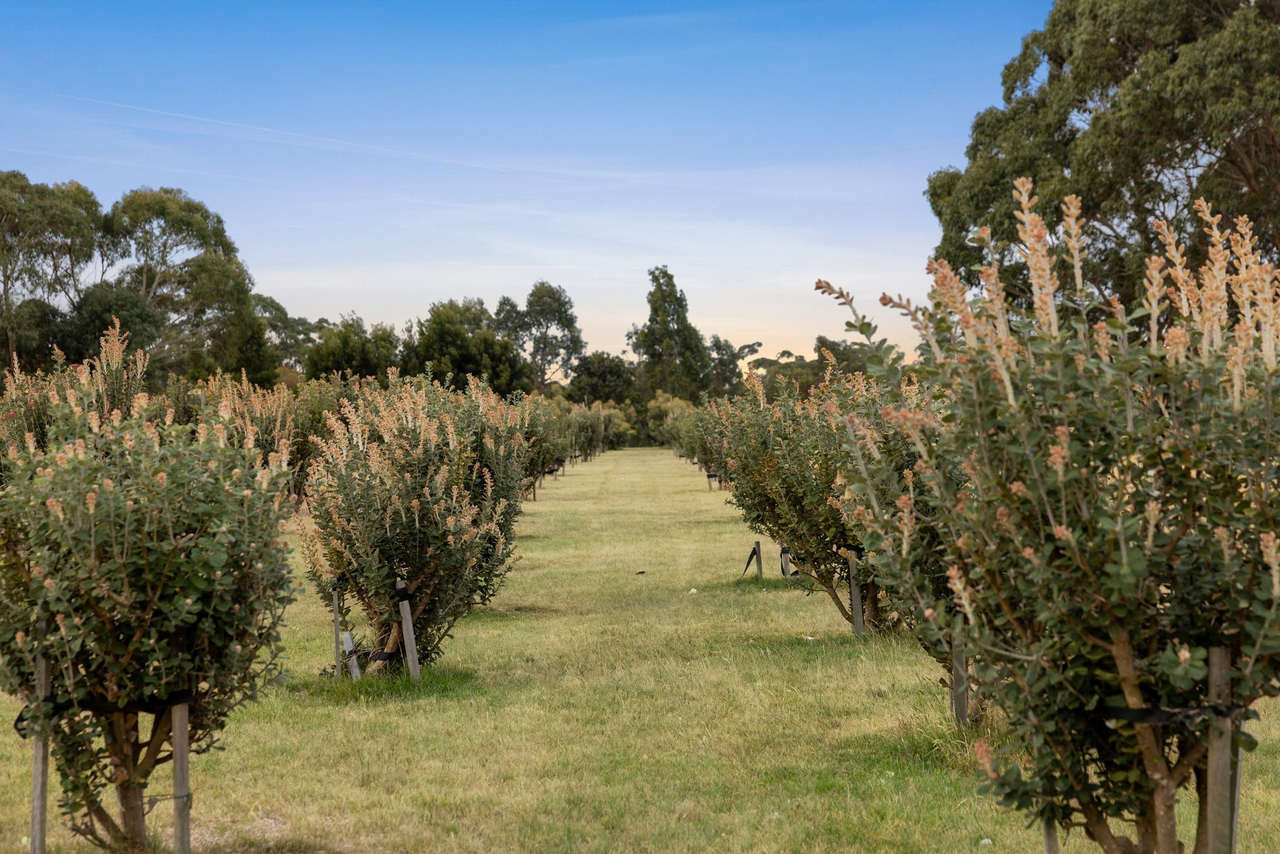 3-bedroom house at 366 Savage Hill Road, Dereel, VIC 3352, Golden Plains, Victoria