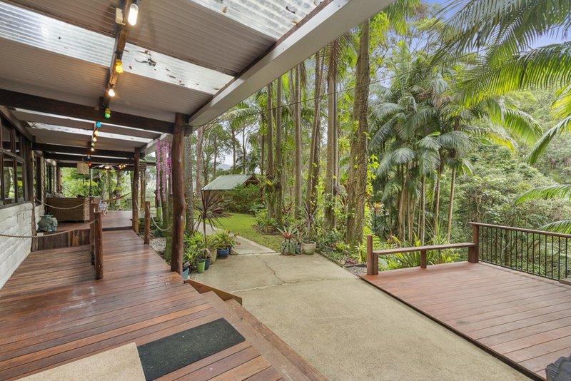 Photo - 366 Tomewin Mountain Road, Currumbin Valley QLD 4223 - Image 13