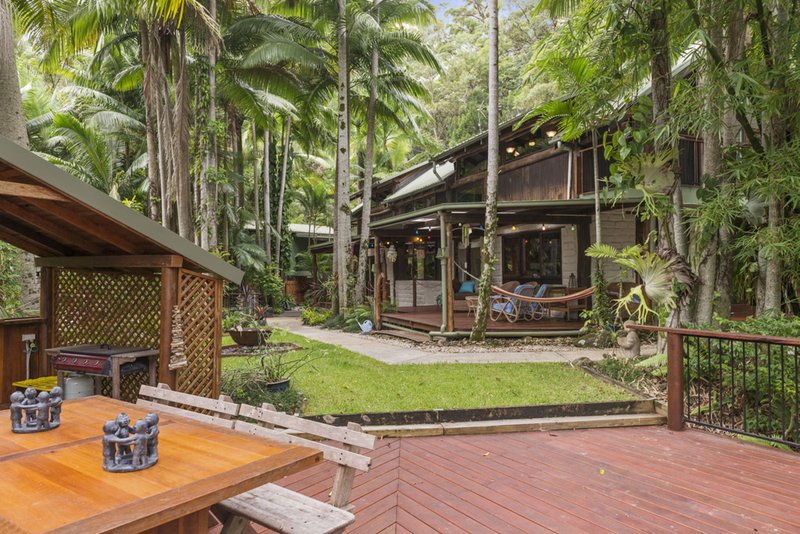 Photo - 366 Tomewin Mountain Road, Currumbin Valley QLD 4223 - Image 17