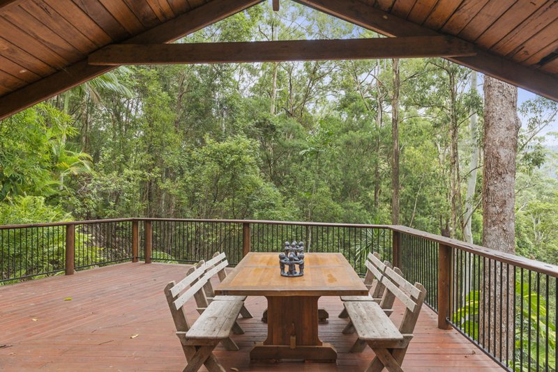 Photo - 366 Tomewin Mountain Road, Currumbin Valley QLD 4223 - Image 18