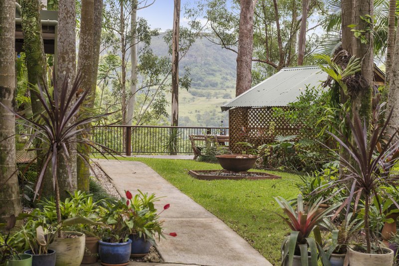 Photo - 366 Tomewin Mountain Road, Currumbin Valley QLD 4223 - Image 20