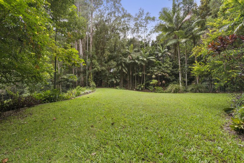 Photo - 366 Tomewin Mountain Road, Currumbin Valley QLD 4223 - Image 26