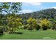 Photo - 36/65 Kilcoy Lane, Conondale QLD 4552 - Image 27