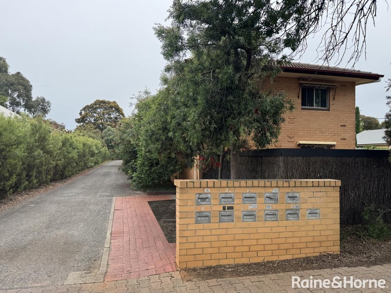 Photo - 3/67 Balham Avenue, Kingswood SA 5062 - Image 9