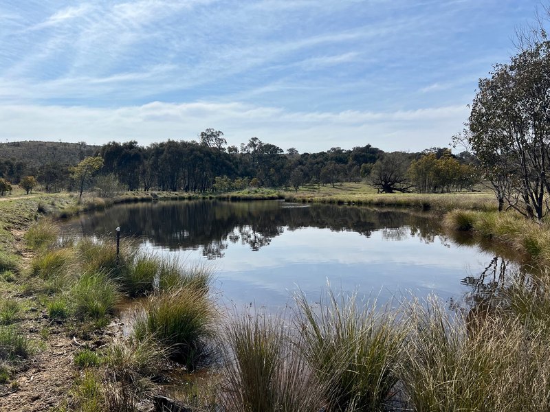 Photo - 367 Berrebangalo Creek Road Gunning - , Gundaroo NSW 2620 - Image 4