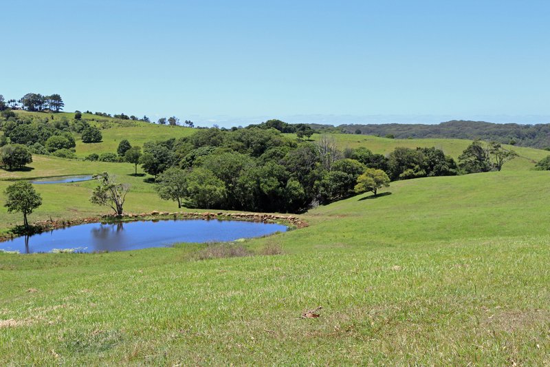 Photo - 367 Coopers Shoot Road, Coopers Shoot NSW 2479 - Image 4