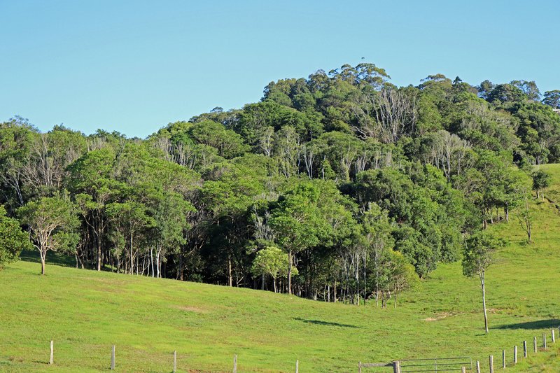 Photo - 367 Coopers Shoot Road, Coopers Shoot NSW 2479 - Image 7
