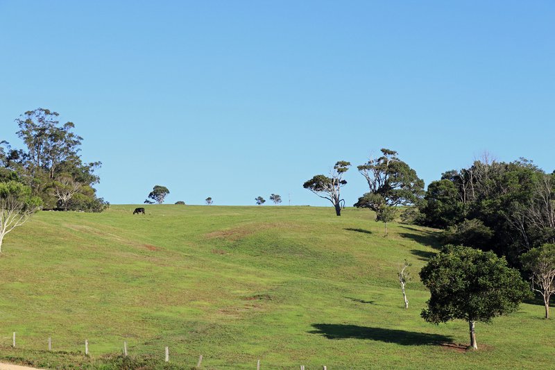 Photo - 367 Coopers Shoot Road, Coopers Shoot NSW 2479 - Image 8