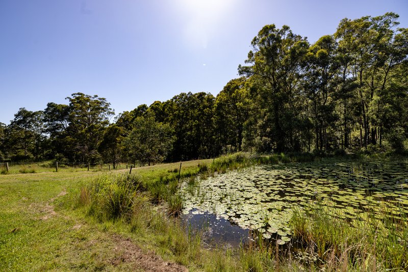 Photo - 368 Tallwood Drive, Rainbow Flat NSW 2430 - Image 14