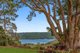 Photo - 368 Western Avenue, Montville QLD 4560 - Image 20