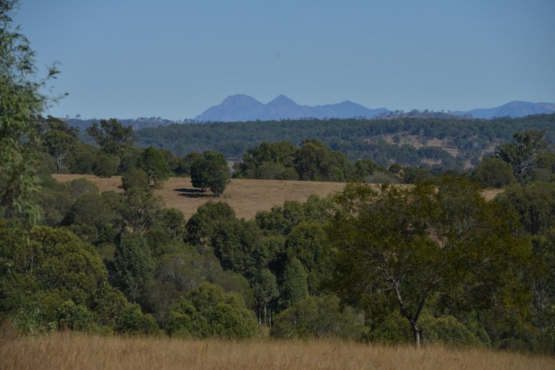 Photo - 3680 Beaudesert Nerang Road, Tabragalba QLD 4285 - Image 5