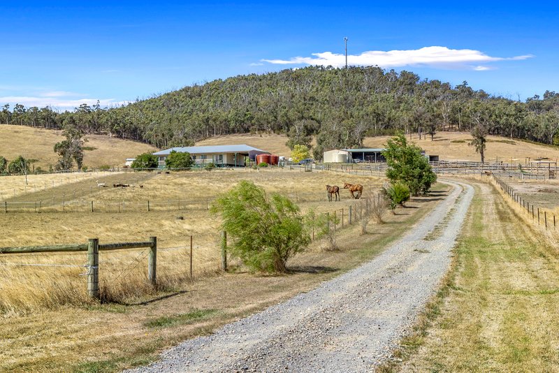 3684 Melba Highway, Glenburn VIC 3717