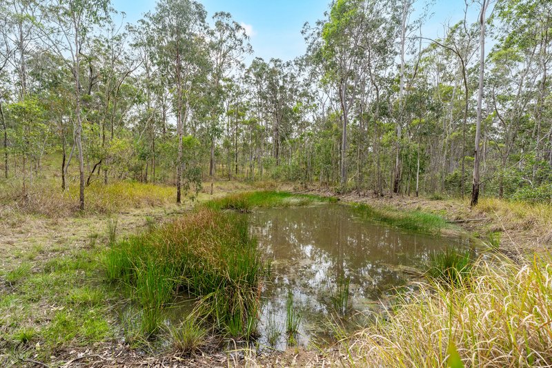 Photo - 369 Fortis Creek Road, Fortis Creek NSW 2460 - Image 7