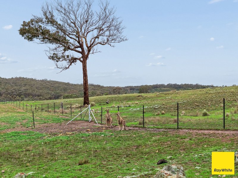 Photo - 369 Newington Road, Wamboin NSW 2620 - Image 9