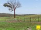 Photo - 369 Newington Road, Wamboin NSW 2620 - Image 9