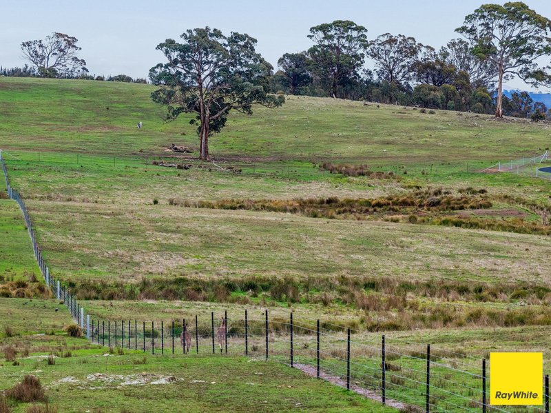 Photo - 369 Newington Road, Wamboin NSW 2620 - Image 10