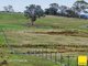 Photo - 369 Newington Road, Wamboin NSW 2620 - Image 10