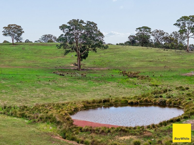 Photo - 369 Newington Road, Wamboin NSW 2620 - Image 12