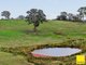 Photo - 369 Newington Road, Wamboin NSW 2620 - Image 12