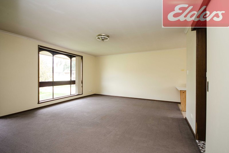 Photo - 3/691 Lavis Street, East Albury NSW 2640 - Image 6