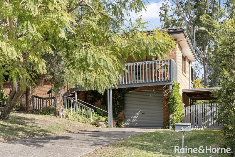 Photo - 37 Anker Avenue, Mollymook Beach NSW 2539 - Image 17