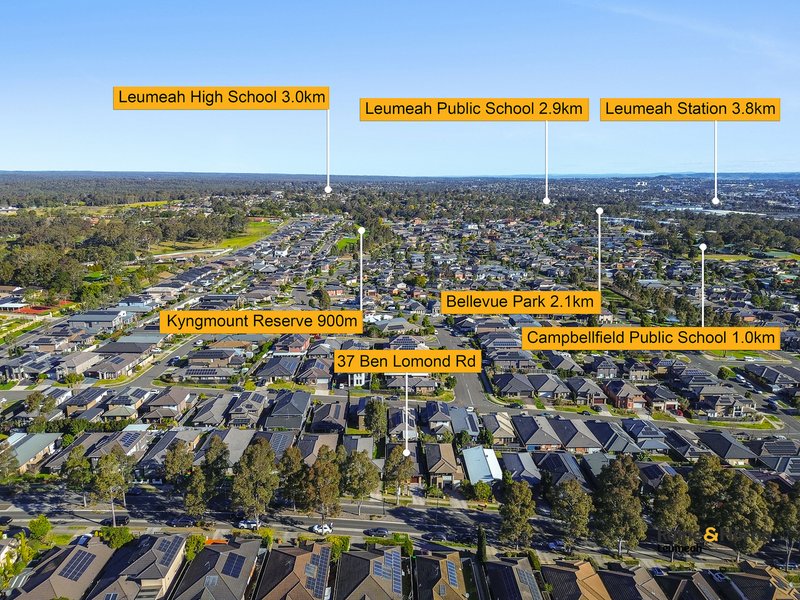 Photo - 37 Ben Lomond Road, Minto NSW 2566 - Image 12