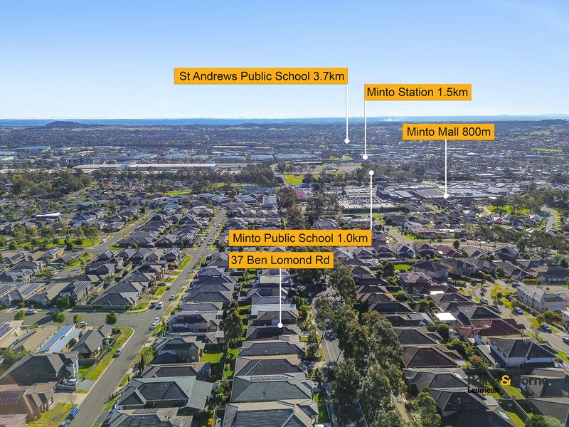 Photo - 37 Ben Lomond Road, Minto NSW 2566 - Image 13