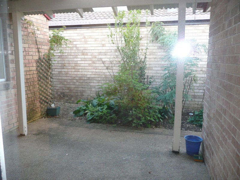 Photo - 37 Benbek Circuit, Sunnybank Hills QLD 4109 - Image 8