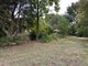 Photo - 37 Bridge Street, Tumbarumba NSW 2653 - Image 21