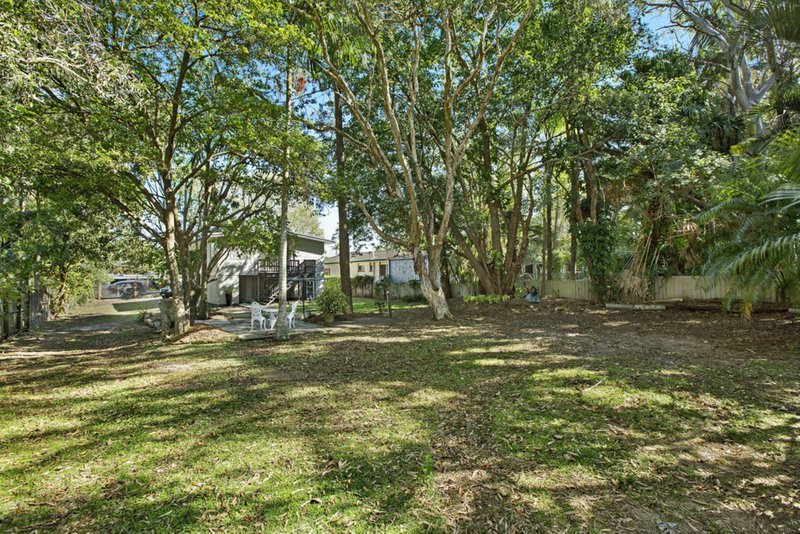 Photo - 37 Buccleugh Street, Moffat Beach QLD 4551 - Image 3