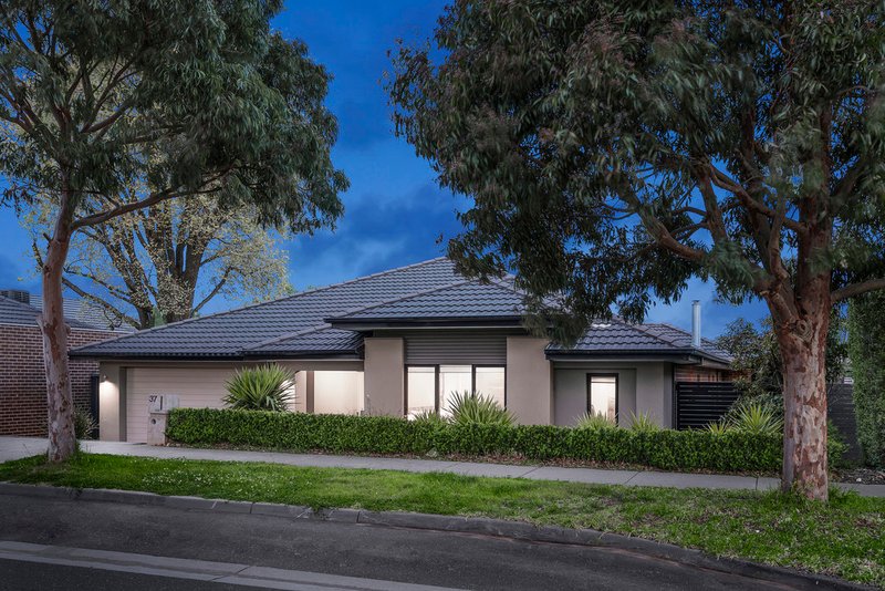 Photo - 37 Camville Road, Mulgrave VIC 3170 - Image 14