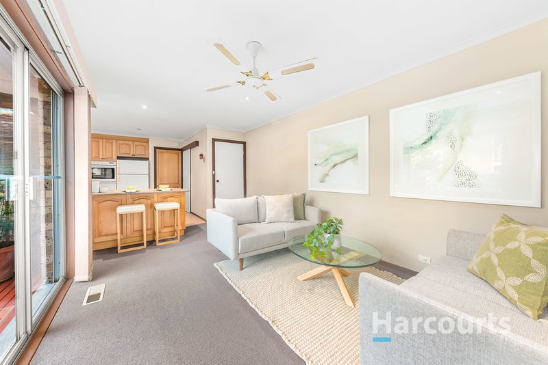 Photo - 37 Chartwell Drive, Wantirna VIC 3152 - Image 7