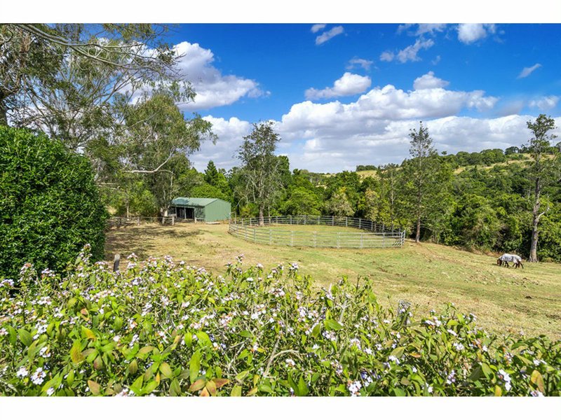 Photo - 37 City View Drive, East Lismore NSW 2480 - Image 3