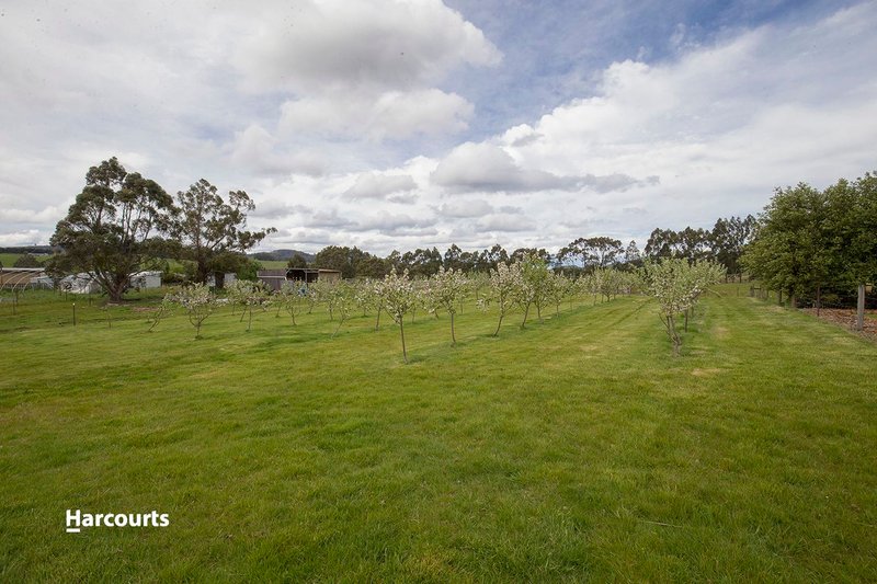 Photo - 37 Costains Road, Geeveston TAS 7116 - Image 8