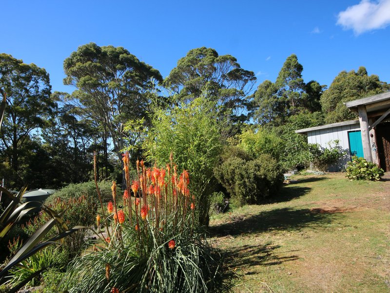 Photo - 37 Dalmayne Road, Gray TAS 7215 - Image 21