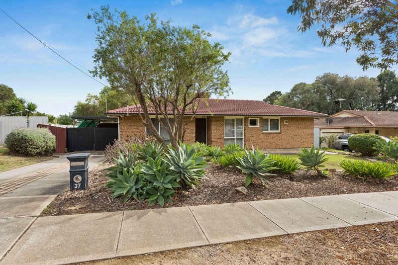 Photo - 37 Ellis Avenue, Morphett Vale SA 5162 - Image 1
