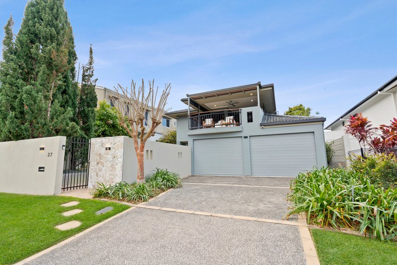 Photo - 37 Esplanade , Yeronga QLD 4104 - Image 2