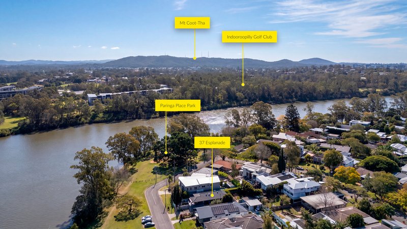 Photo - 37 Esplanade , Yeronga QLD 4104 - Image 30