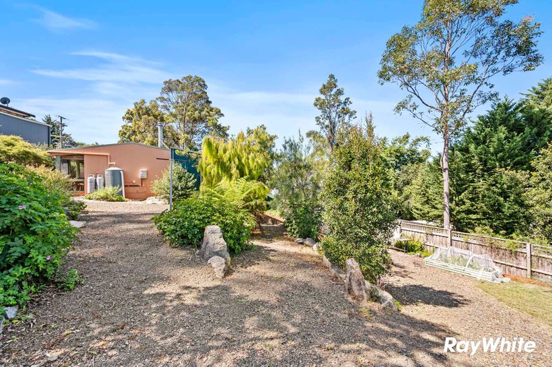 Photo - 37 Euroka Avenue, Malua Bay NSW 2536 - Image 21