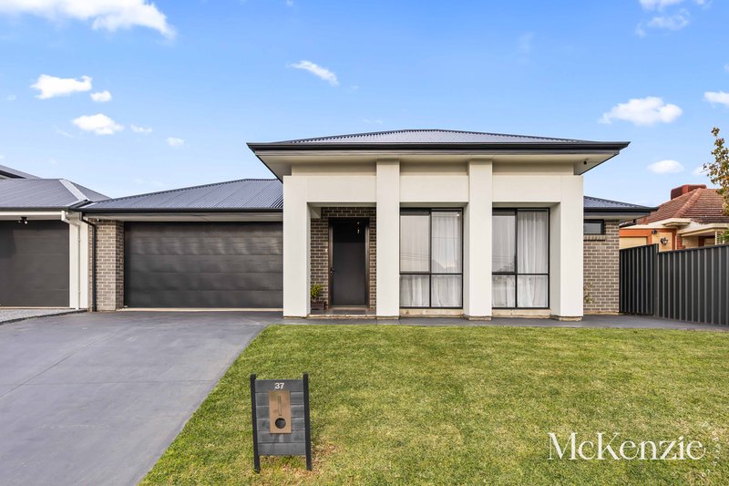 Photo - 37 Fairview Terrace, Clearview SA 5085 - Image 2