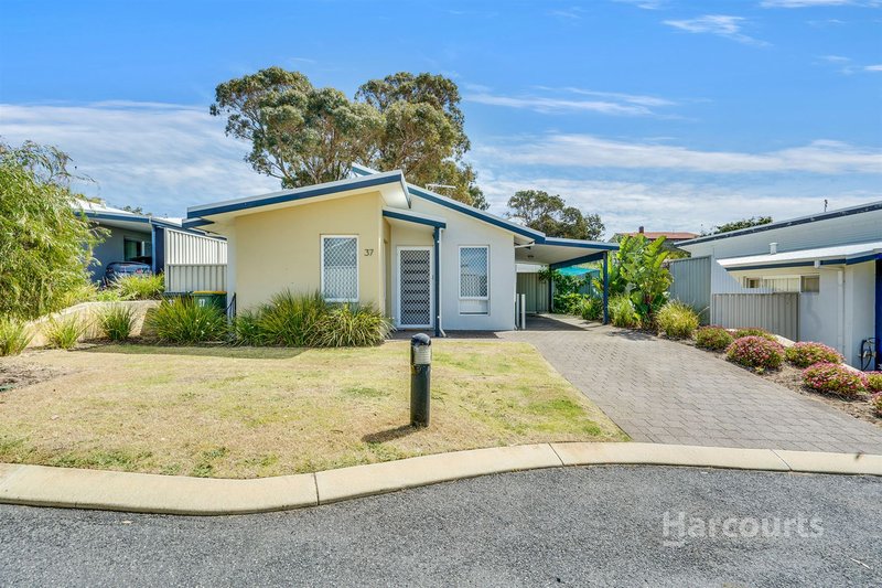 37 Ferguson Street, Falcon WA 6210