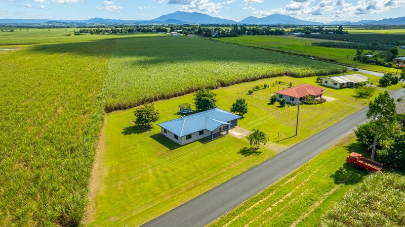 Photo - 37 Flynn Road, Mourilyan QLD 4858 - Image 14